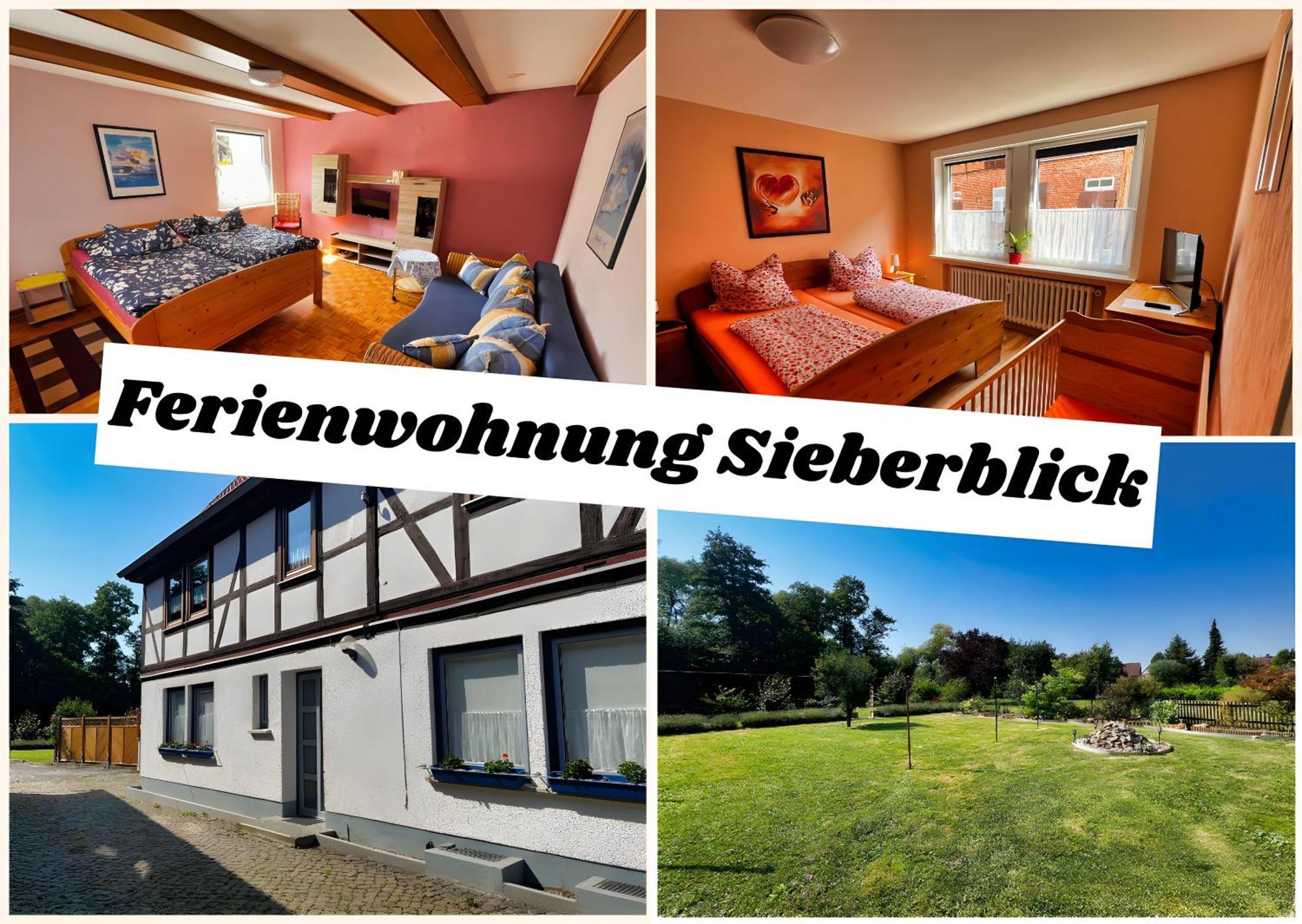 Sieberblick Apartment Hattorf am Harz
